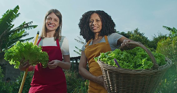 Portrait of two diverse women holding green organic lettuce and