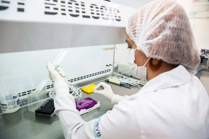 1_man_ju_20240313_chikungunya_2393_interna2-49679444