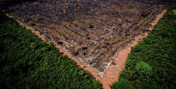 desmatamento-amazonia-600x304