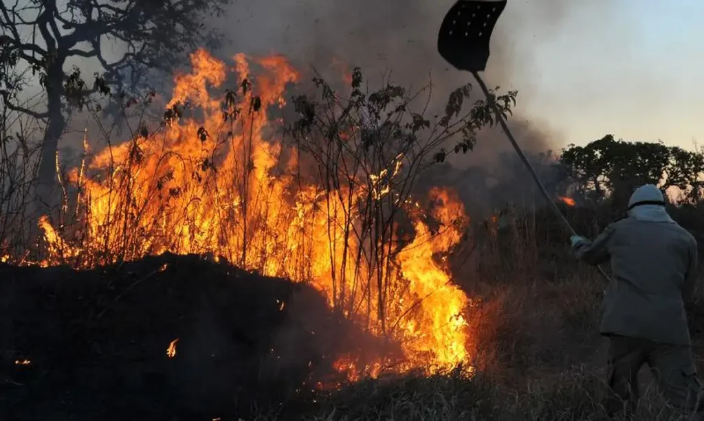 incendios_florestais