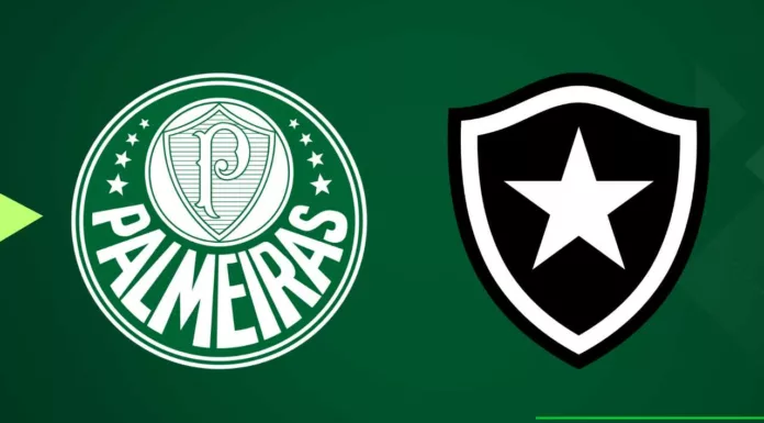 Palmeiras-x-Botafogo-RJ-696x385