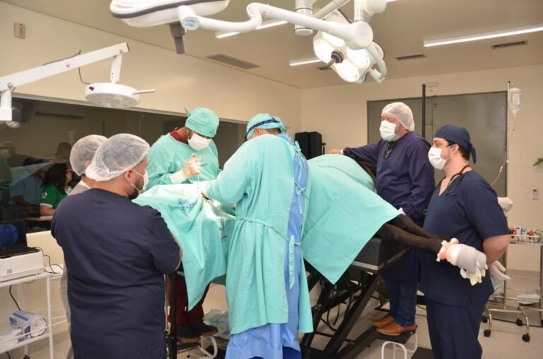 Policlínica de Medicina Veterinária da Estácio (4)