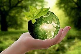 images (11)