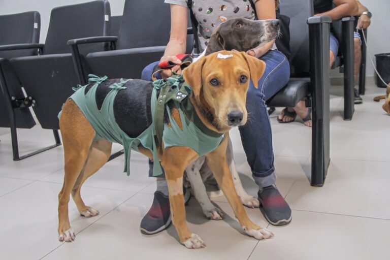 07-07-2025 - Maria Aparecida - professora - buscando atendimento no Prog Bem-Estar animal - Foto Nonato Sousa-0303