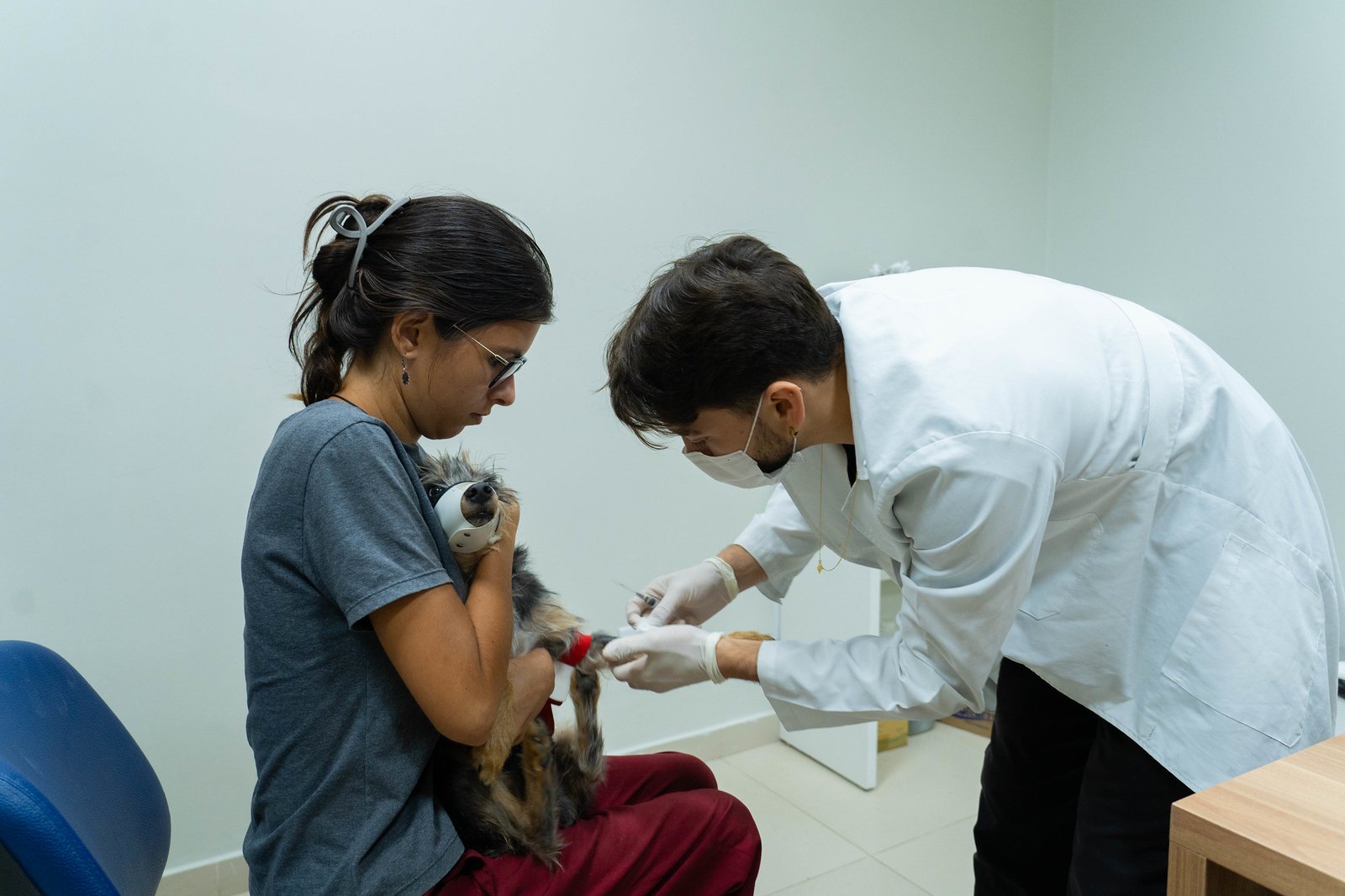 54427646227_e49957ba35_k