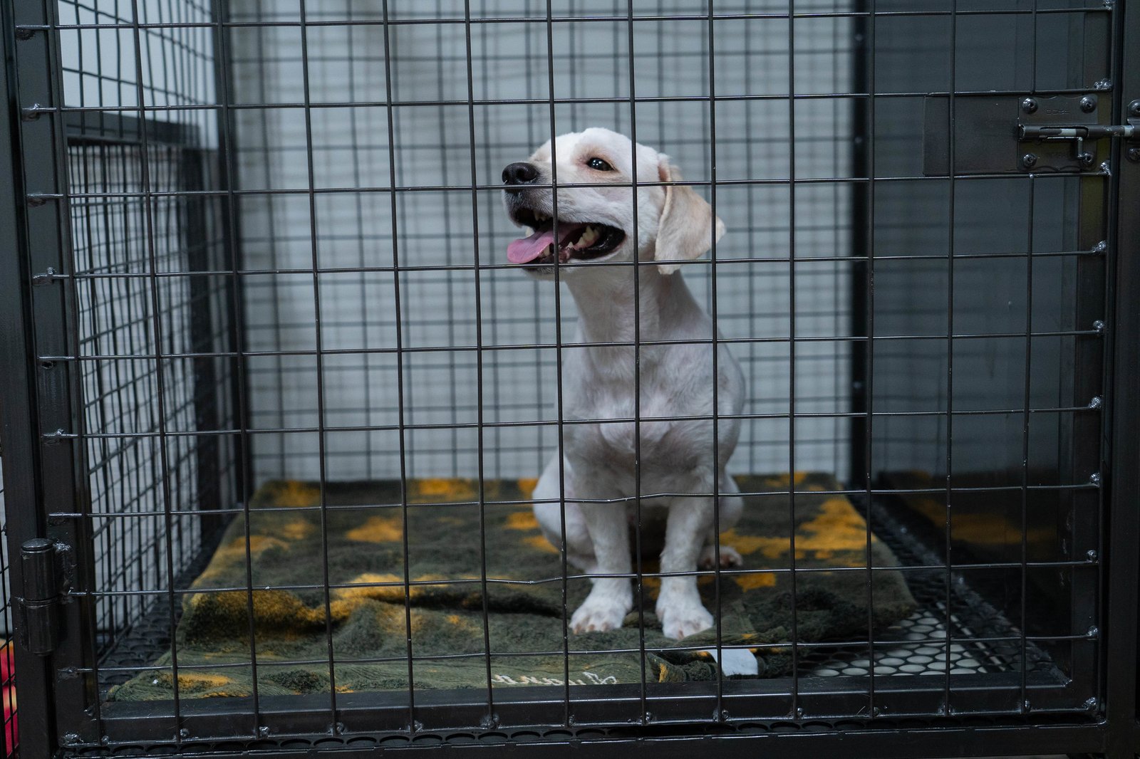 54427646392_ce7b0518b4_k