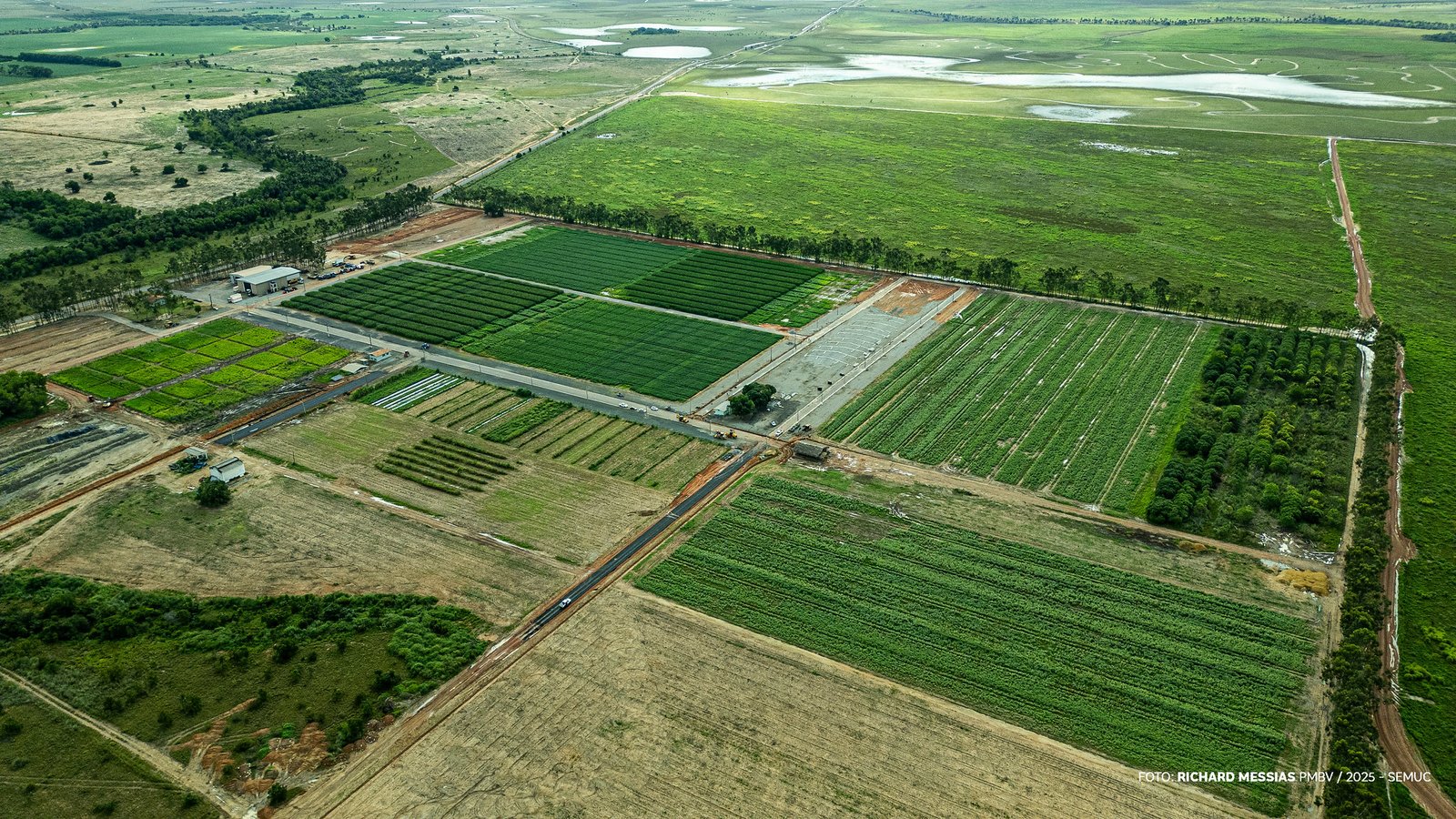 Campo Experimental do CDT na zona rural de Boa Vista - Ft RICHARD MESSIAS (1)