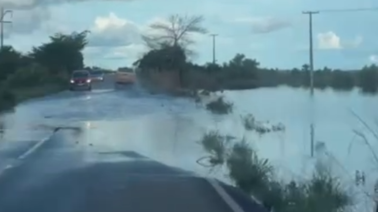 Fundo Virtual Arco-íris Degradê Rosa Roxo (1)