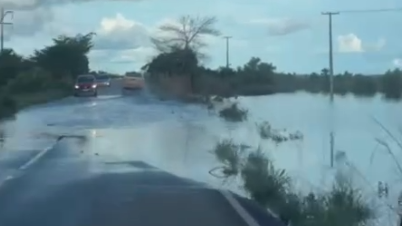 Fundo Virtual Arco-íris Degradê Rosa Roxo (1)