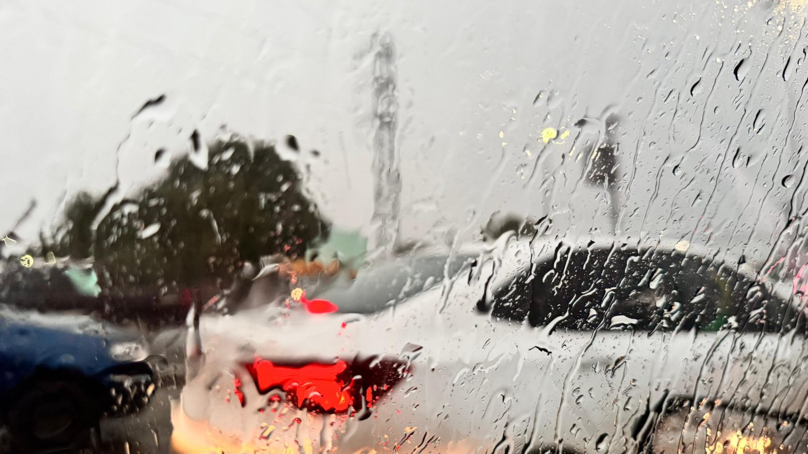 WhatsApp Image 2025-07-04 at 11.44.20