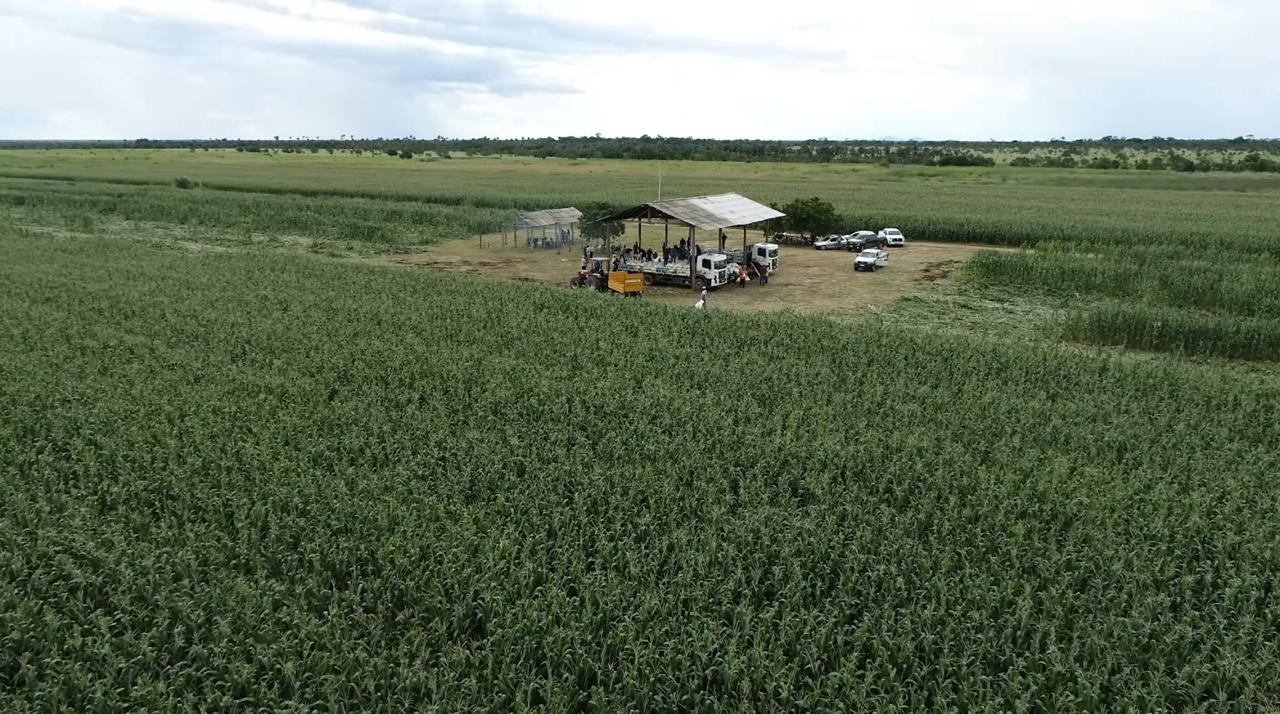 WhatsApp Image 2025-07-25 at 11.41.07