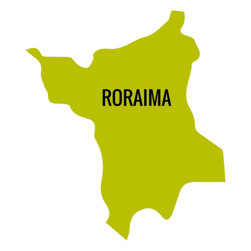 f10bd68433af4017f0c5c3cb4c0a91ed-mapa-do-estado-de-roraima
