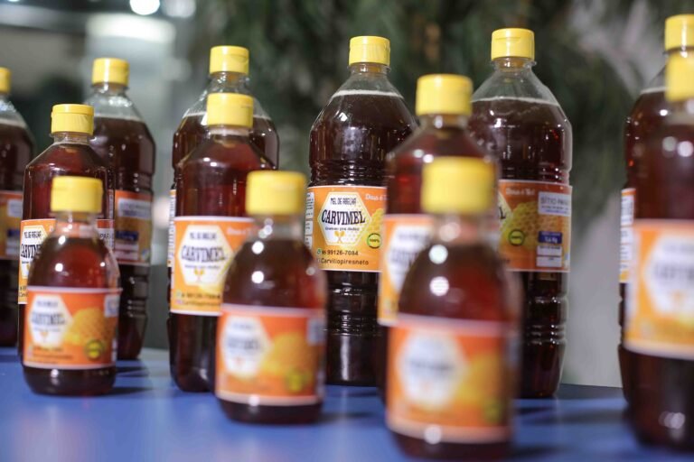 Foto 1 - Meliponicultura é considerada atividade de relevância social, econômica e ambiental - Foto Eduardo Andrade2