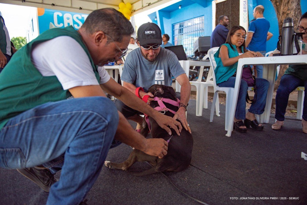 Vacinação Antirrábica em Boa Vista - Ft Jonathas Oliveira