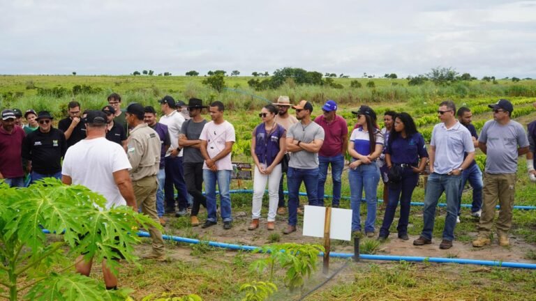 WhatsApp Image 2025-08-13 at 10.25.08