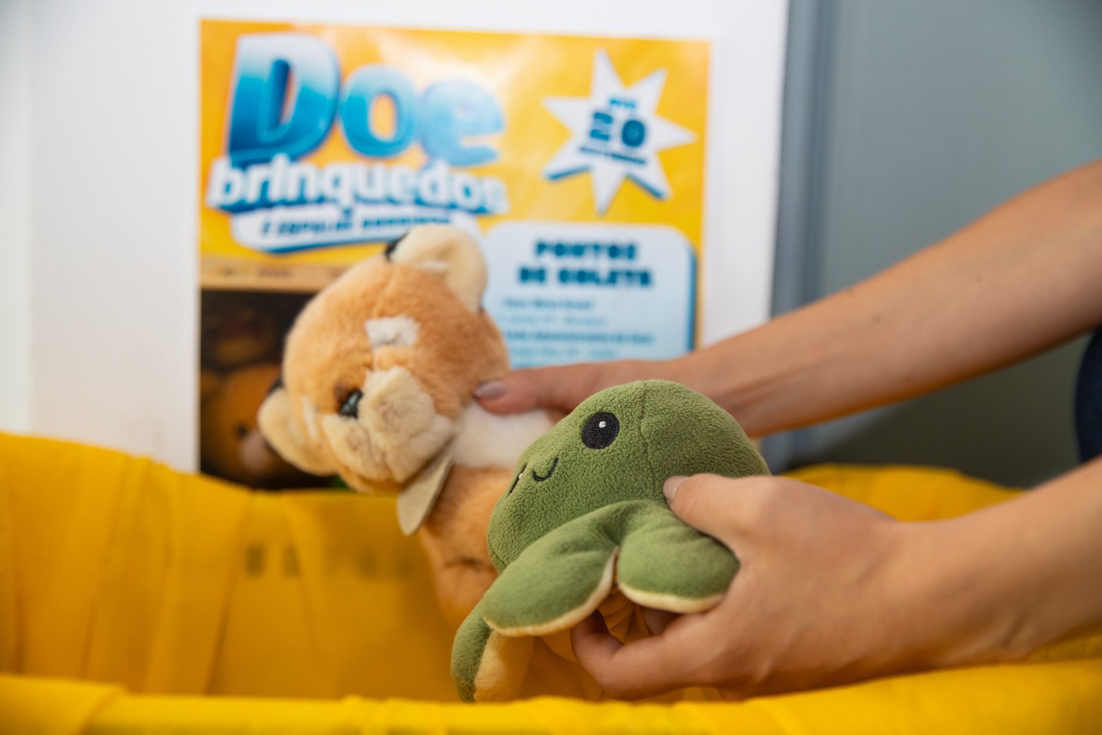 IMAGEM DE APOIO DO SESC RR