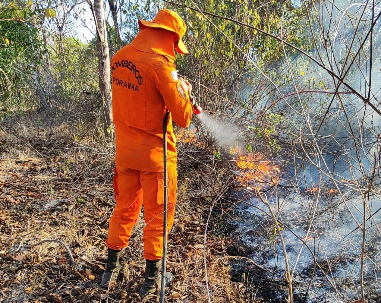 WhatsApp Image 2025-09-11 at 16.39.40