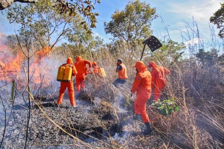 brigadas-municipais-de-combate-a-queimadas