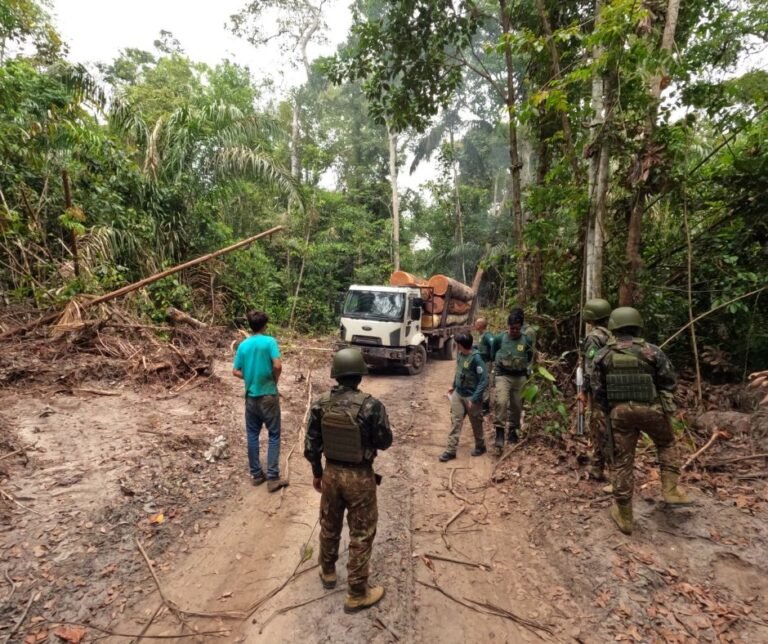 Foto Bruno PeresAgência Brasil (10)