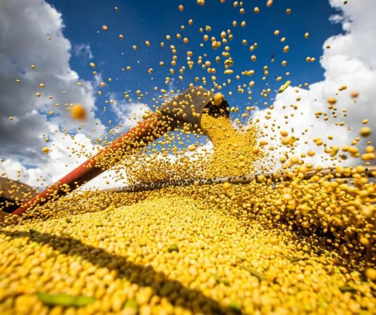 Foto Bruno PeresAgência Brasil (18)