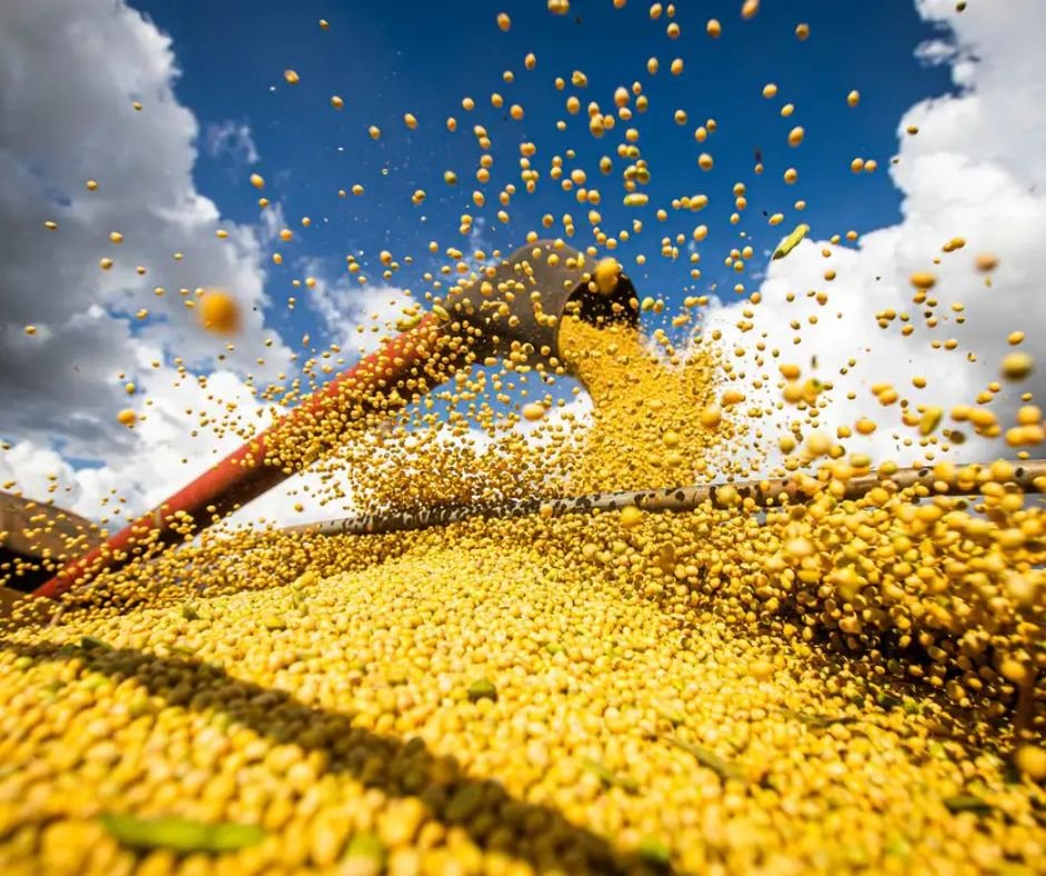 Foto Bruno PeresAgência Brasil (18)