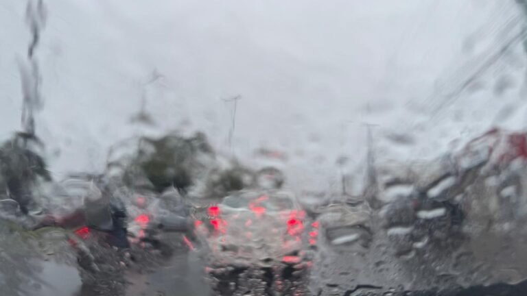 WhatsApp Image 2025-12-09 at 08.22.12