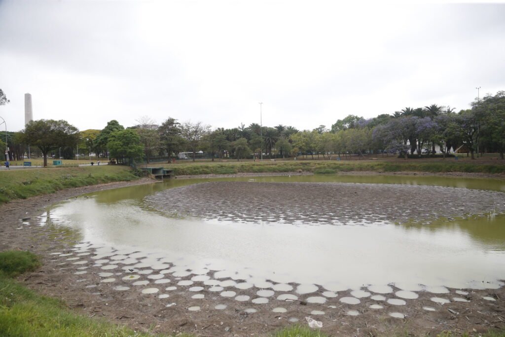 54040758045_d0ee116178_k-1024x683