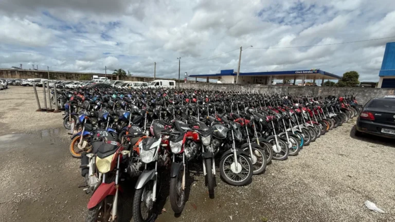 a6pm5weP-Terceiro-Leilao-Online-do-Detran-RR_Ascom-Detran-RR-2-984x553