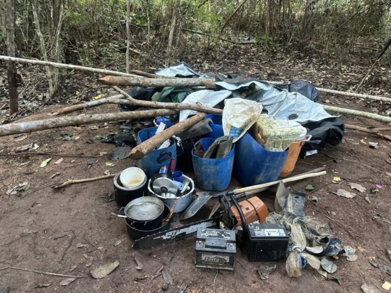 WhatsApp Image 2026-02-19 at 12.09.33