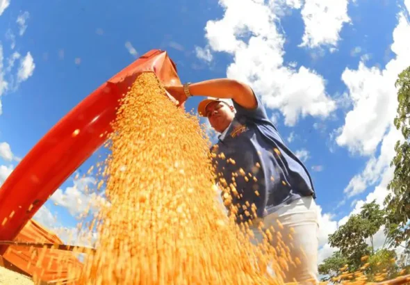 colheita-de-soja-foto-alvaro-rezende-3-730x480govcg (1)