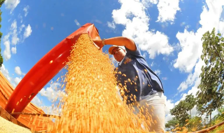 colheita-de-soja-foto-alvaro-rezende-3-730x480govcg (1)