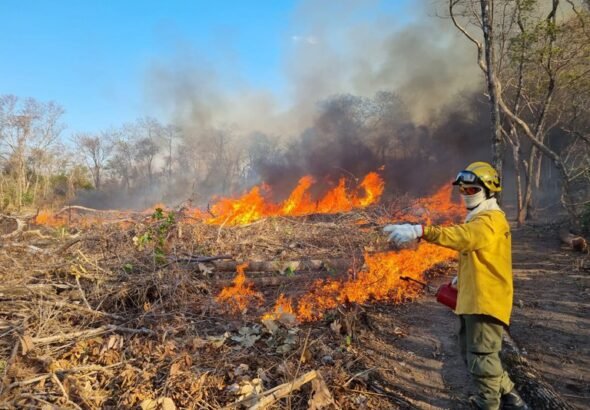 f8a1175d-639d-4992-a770-a96cfe6baf99