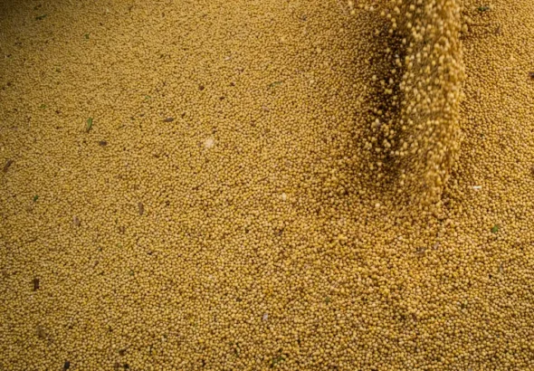 51895318587_e532858057_4k