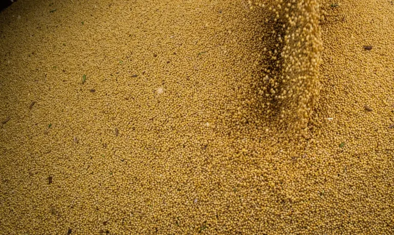 51895318587_e532858057_4k