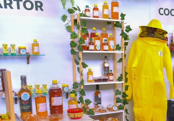 3 Produção de mel em Roraima
