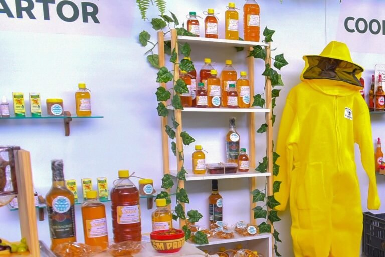 3 Produção de mel em Roraima