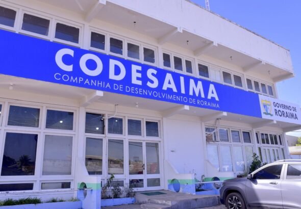 codesaima