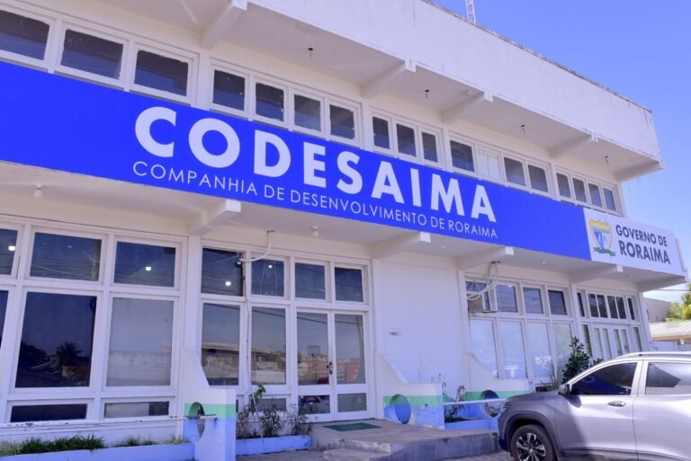codesaima
