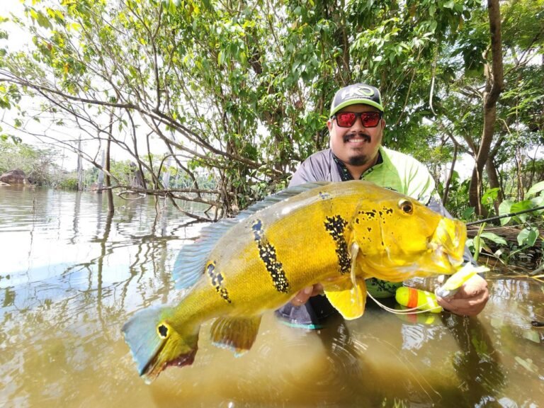 Roraima destaca potencial na pesca esportiva durante a Fishing Show Brazil 2026 (3)