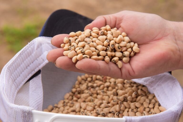 Seadi e Iater iniciam inscrições do Programa de Aquisição de Alimentos_SECOM RR (2)