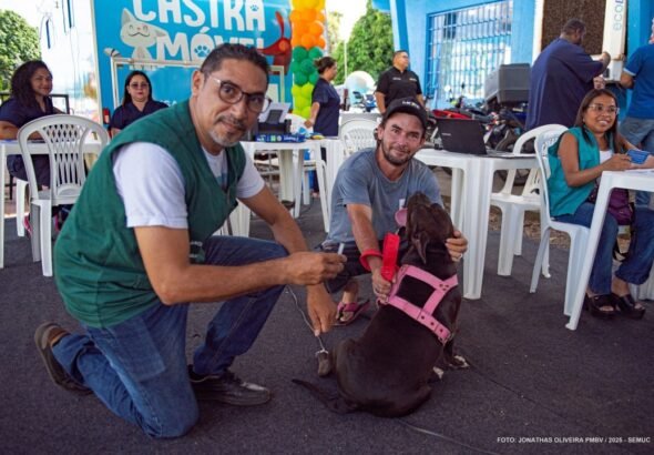 vacinação pets