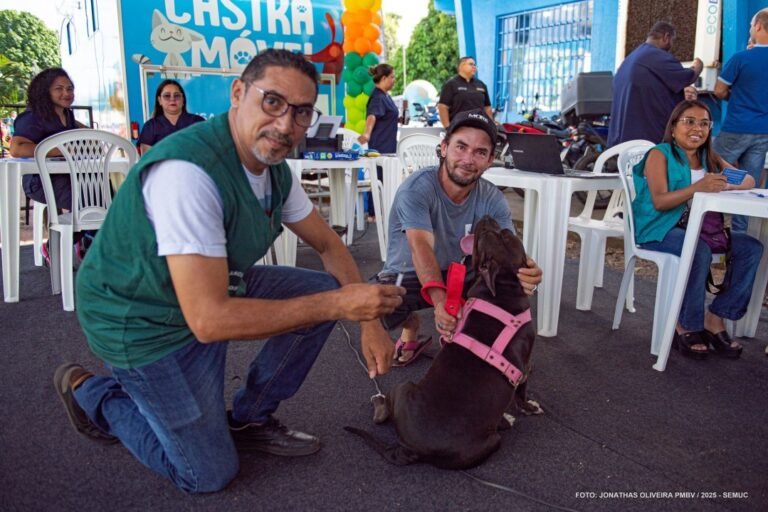 vacinação pets