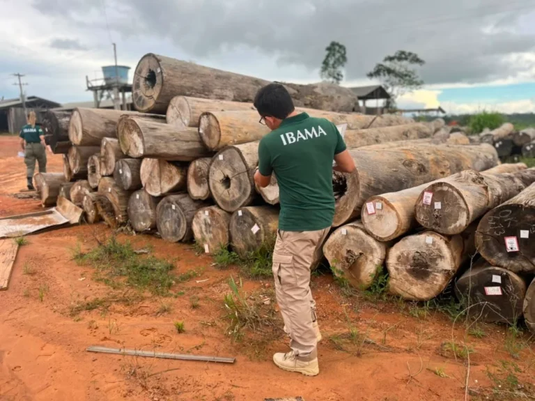 Ibama