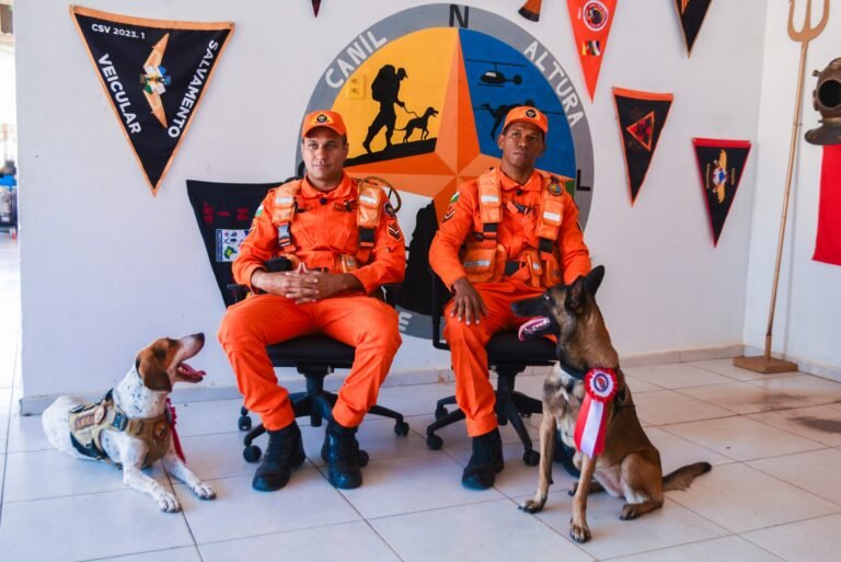 Cães do Corpo de Bombeiros de Roraima recebem certificação nacional para atuação em buscas e resgates_Neto Figueredo-SECOM RR (6)