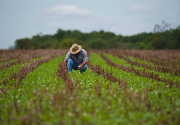 Produtores rurais