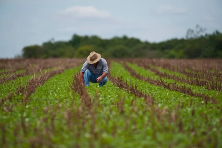 Produtores rurais