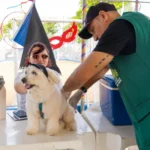 Vacinação