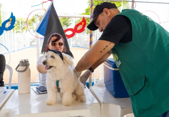 Vacinação