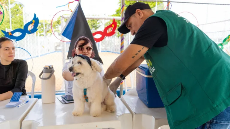 Vacinação