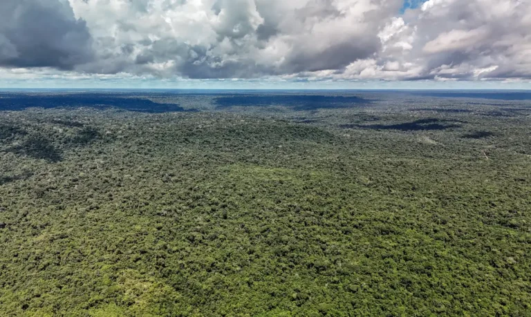 Amazônia